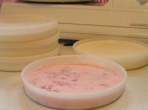 Raw Goat Milk Yogurt - plain and strawberry