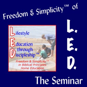 LEDSeminar